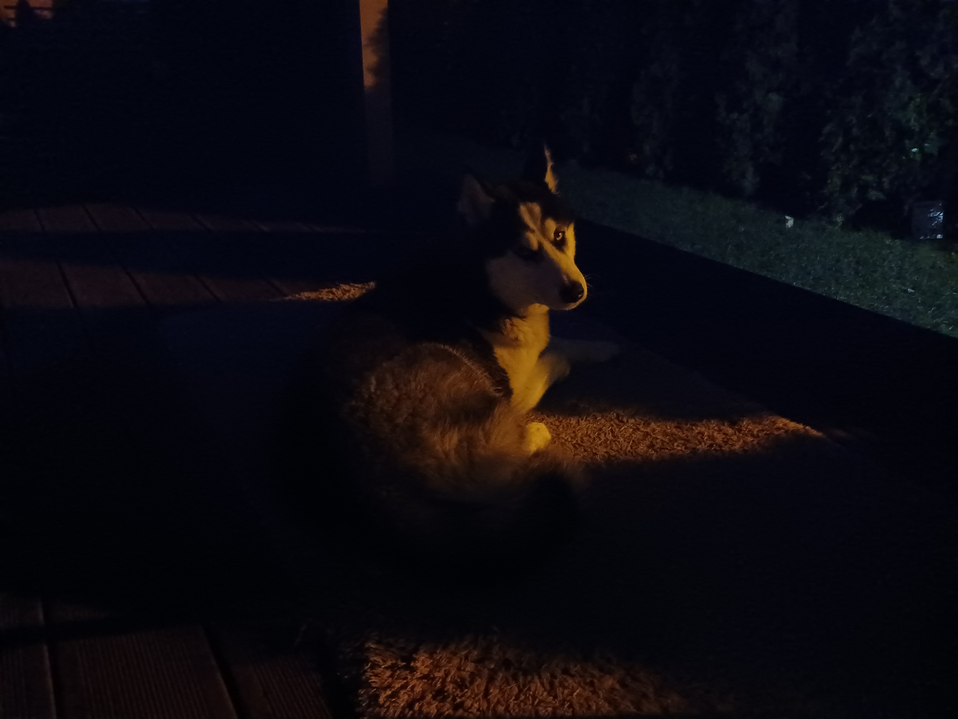 Samsung Galaxy A32 5G