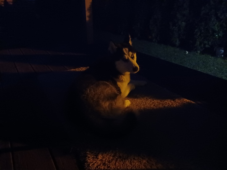 Samsung Galaxy A32 5G