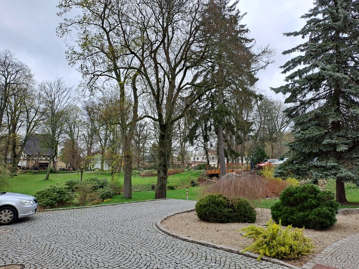 Samsung Galaxy A33 5G