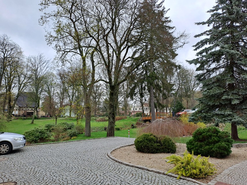 Samsung Galaxy A33 5G