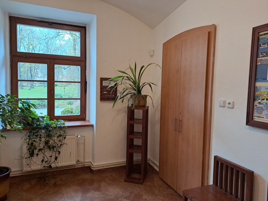 Samsung Galaxy A33 5G