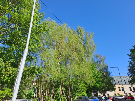 Samsung Galaxy A33 5G