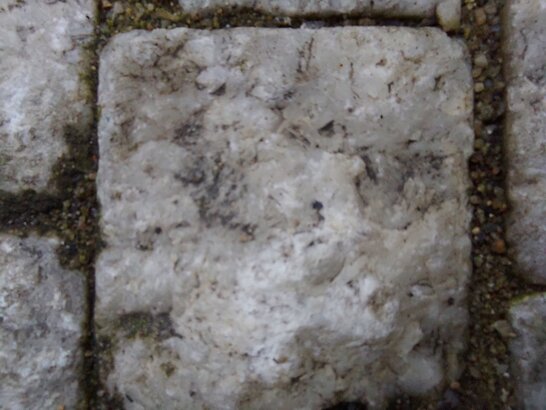 Samsung Galaxy A42 5G