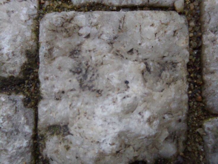 Samsung Galaxy A42 5G