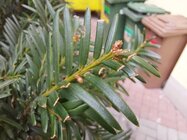 Samsung Galaxy A42 5G