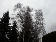 Samsung Galaxy A5 (2016)