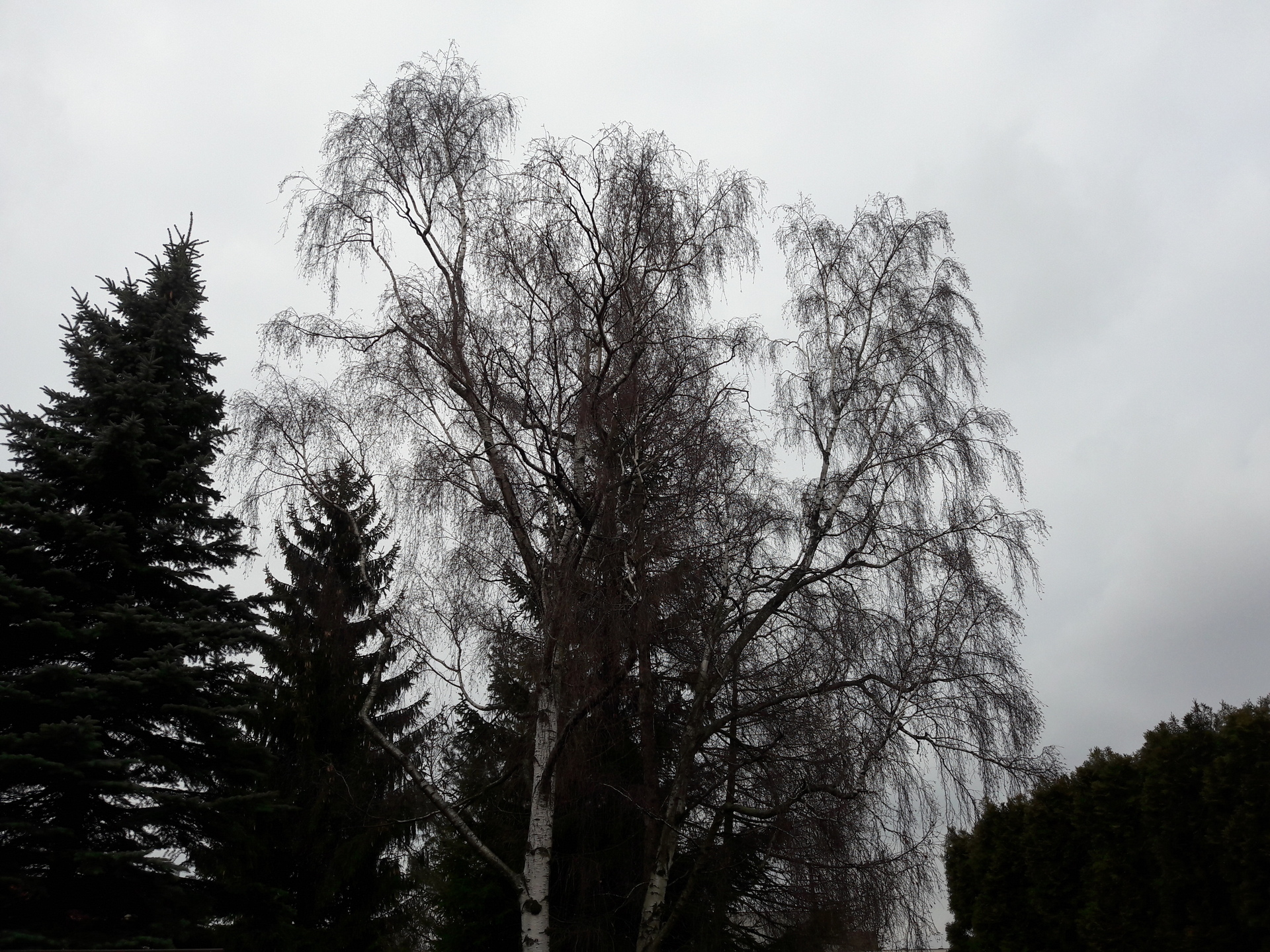 Samsung Galaxy A5 (2016)