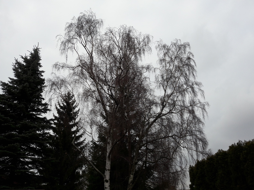 Samsung Galaxy A5 (2016)