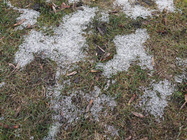 Samsung Galaxy A5 (2016)