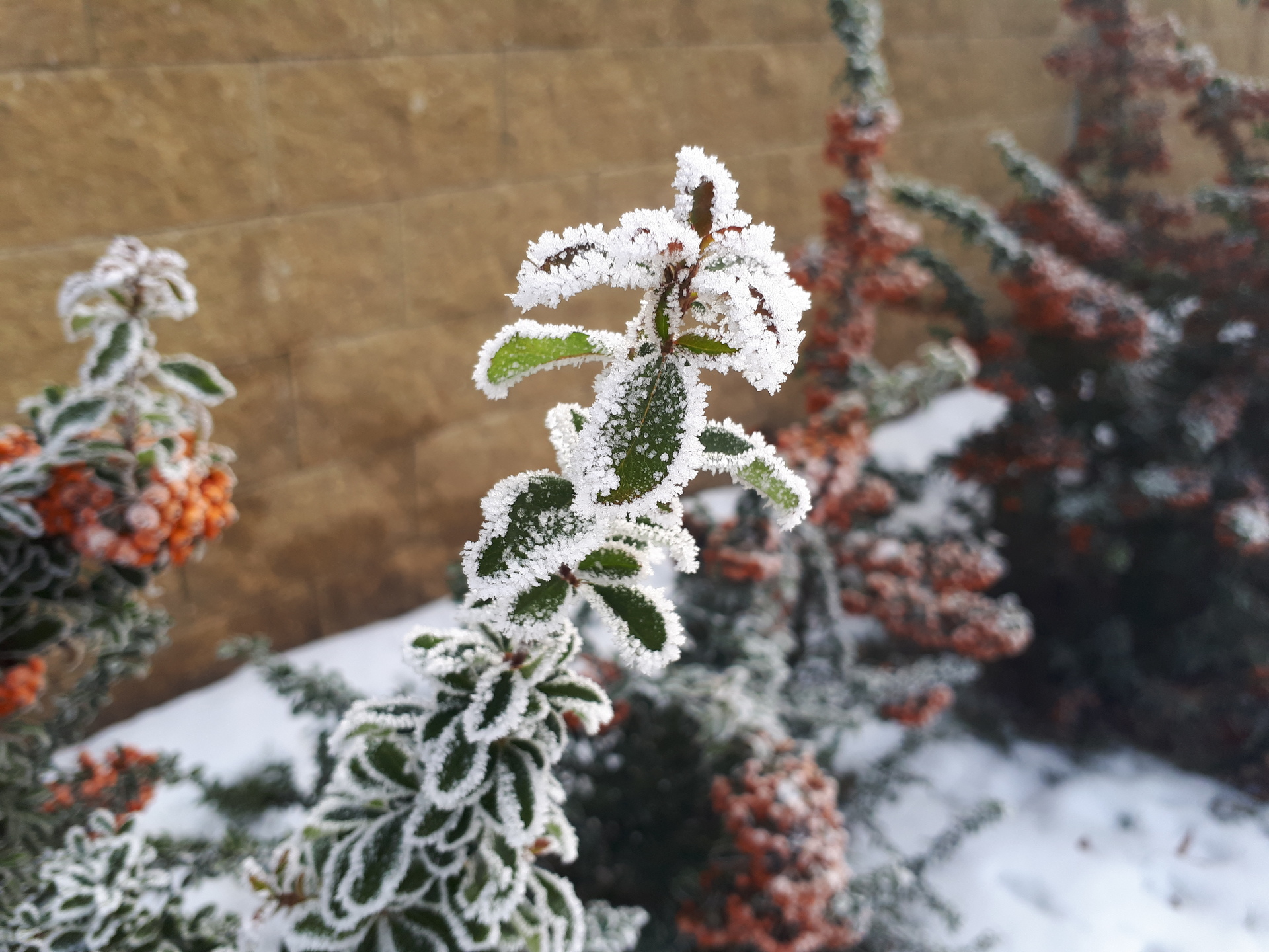 Samsung Galaxy A5 (2017)