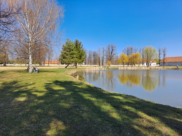 Samsung Galaxy A53 5G