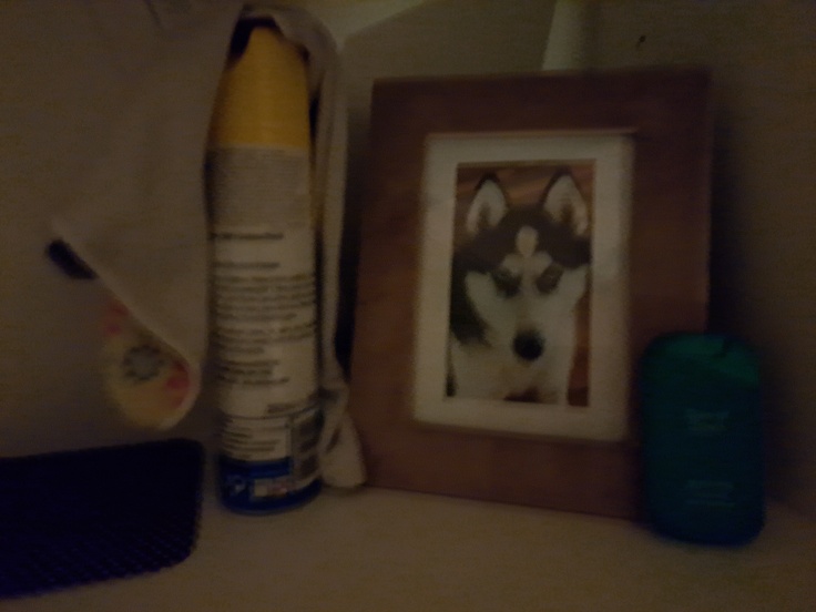 Samsung Galaxy A53 5G