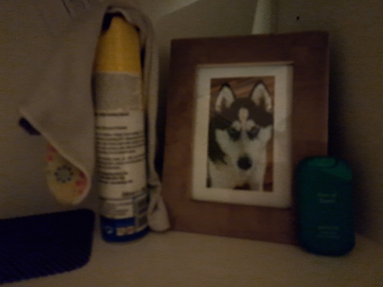 Samsung Galaxy A53 5G