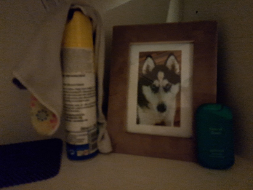 Samsung Galaxy A53 5G