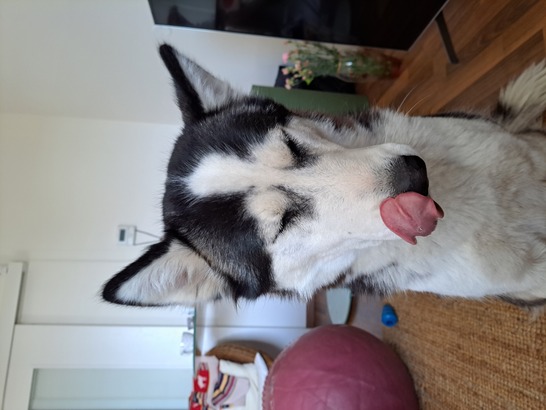 Samsung Galaxy A53 5G