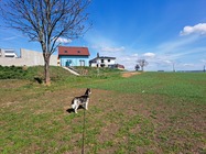 Samsung Galaxy A53 5G