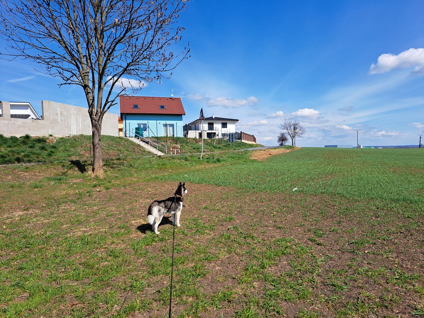 Samsung Galaxy A53 5G