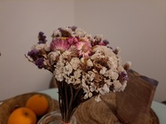 Samsung Galaxy A53 5G