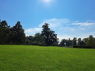 Samsung Galaxy A53 5G