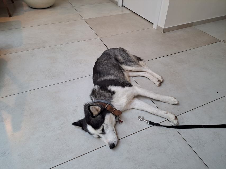 Samsung Galaxy A53 5G