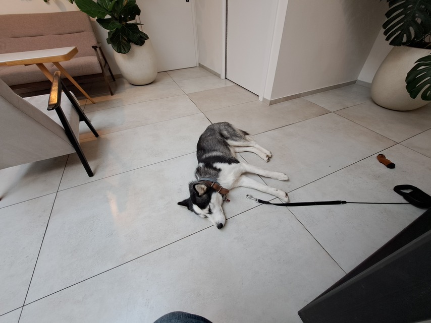 Samsung Galaxy A53 5G