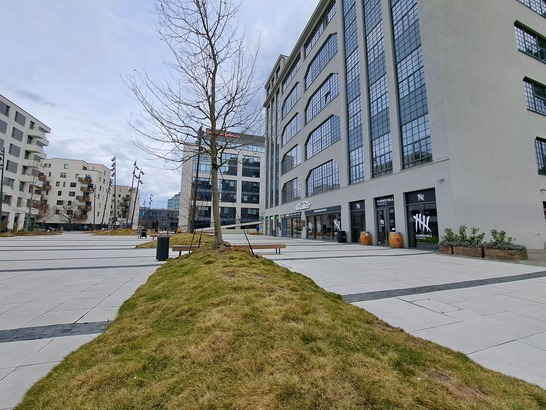 Samsung Galaxy A53 5G