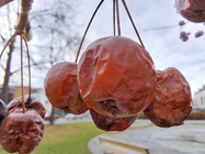 Samsung Galaxy A53 5G