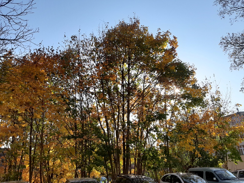 Samsung Galaxy A7 (2018)