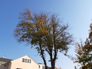 Samsung Galaxy A7 (2018)