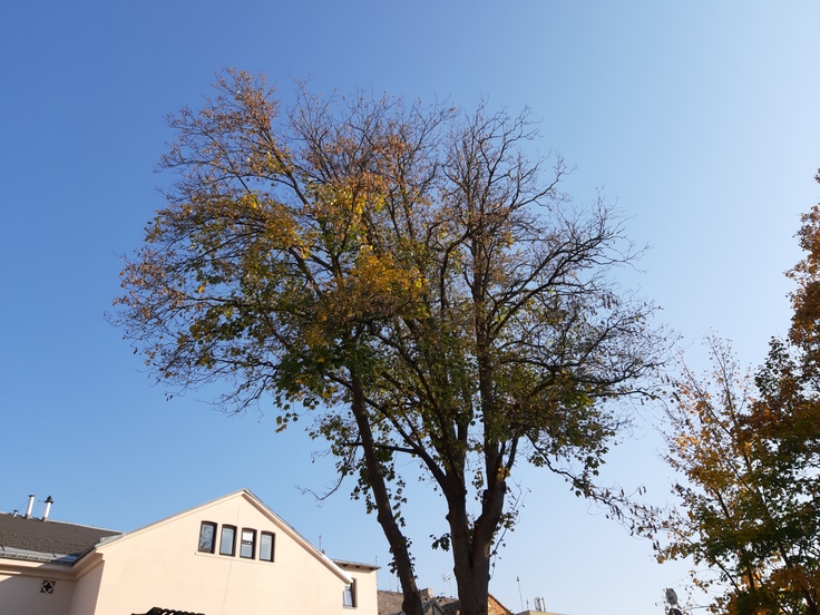 Samsung Galaxy A7 (2018)