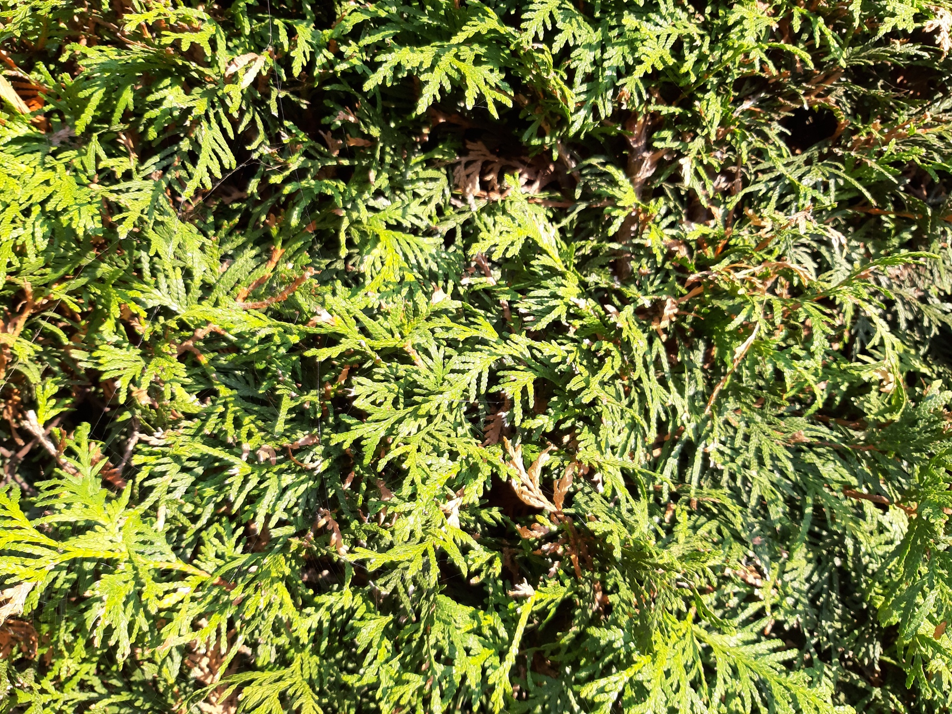 Samsung Galaxy A7 (2018)