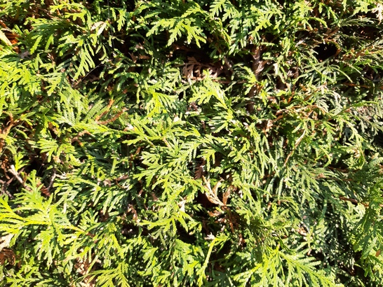 Samsung Galaxy A7 (2018)