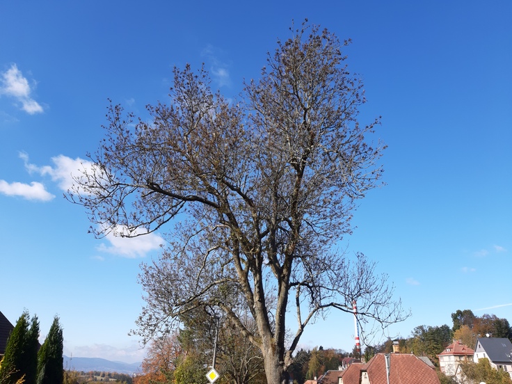 Samsung Galaxy A7 (2018)