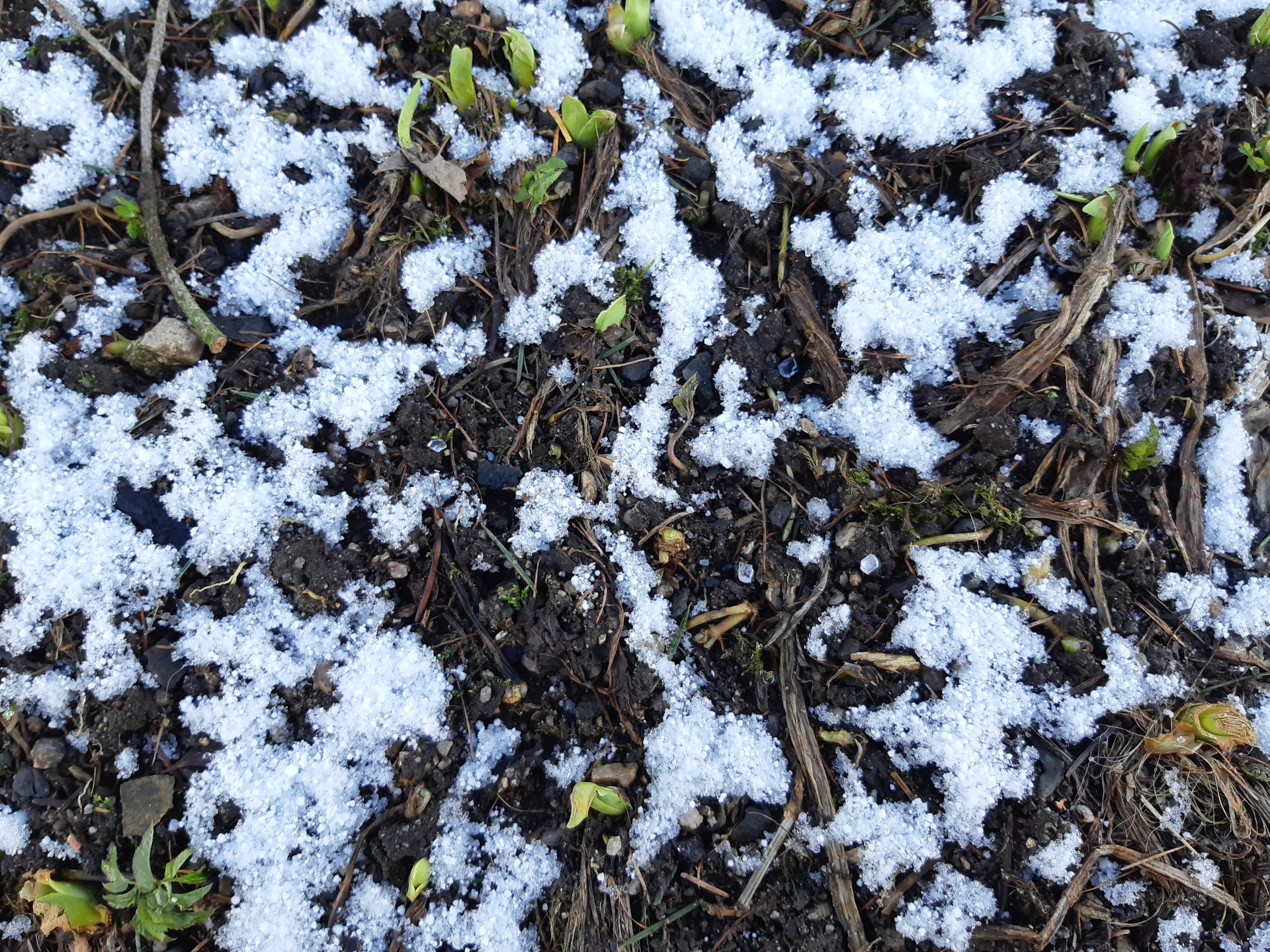 Samsung Galaxy A8 (2018)