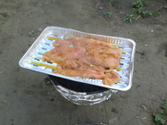 Samsung Galaxy Ace 2