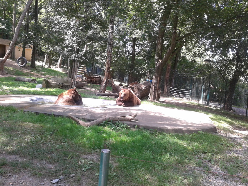 Samsung Galaxy Ace 2