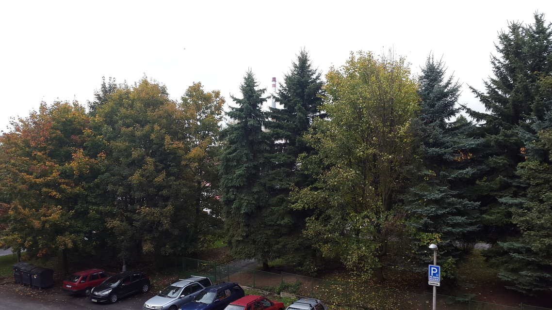 Samsung Galaxy Alpha