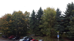 Samsung Galaxy Alpha