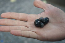 Samsung Galaxy Buds2