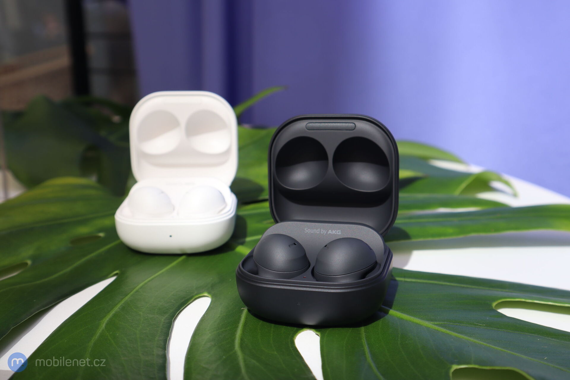Samsung Galaxy Buds2 Pro
