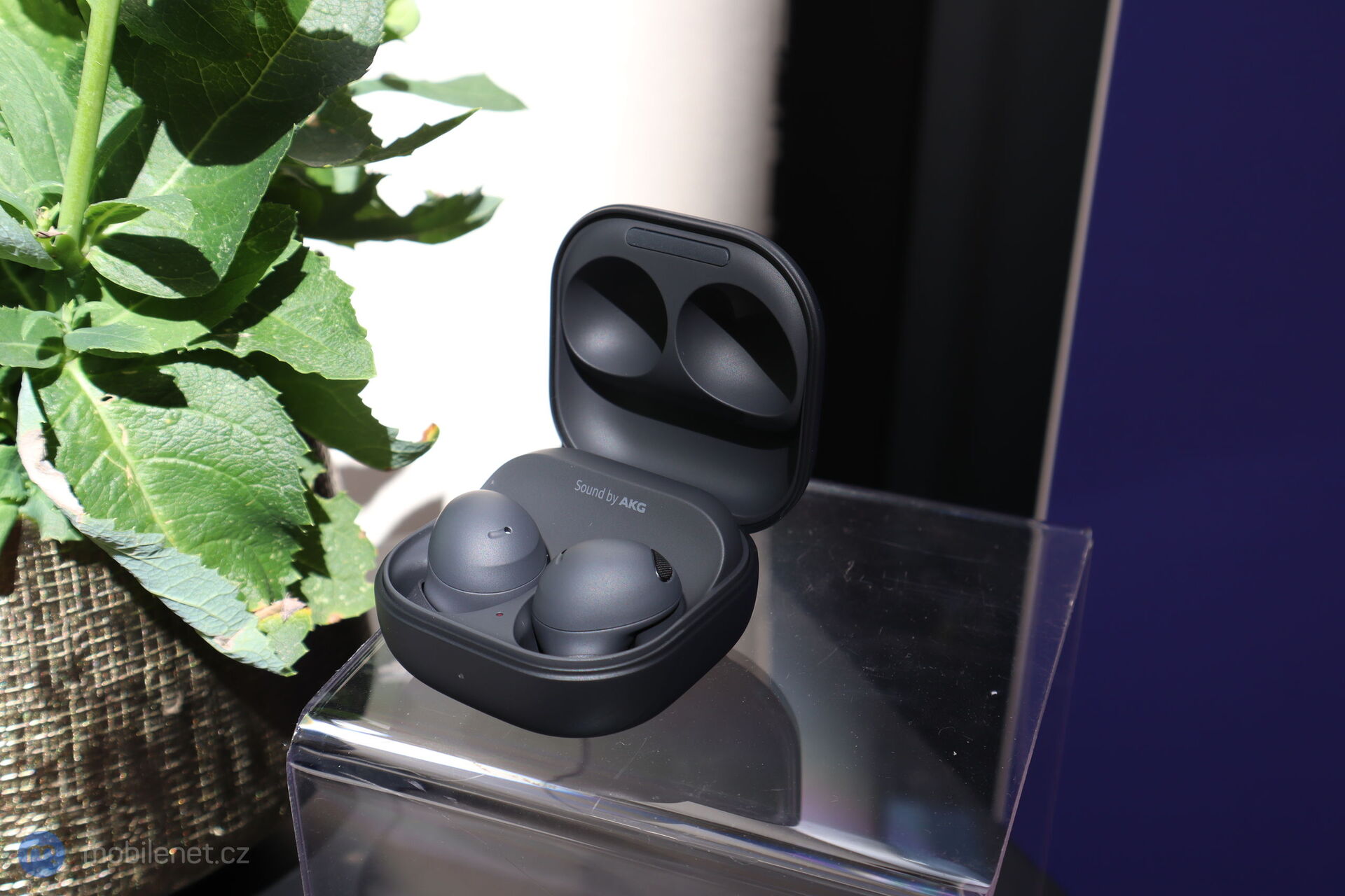 Samsung Galaxy Buds2 Pro