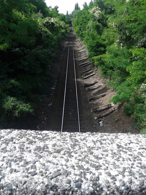 Samsung Galaxy Core LTE