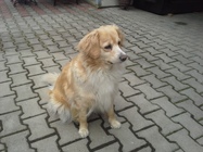 Samsung Galaxy Express