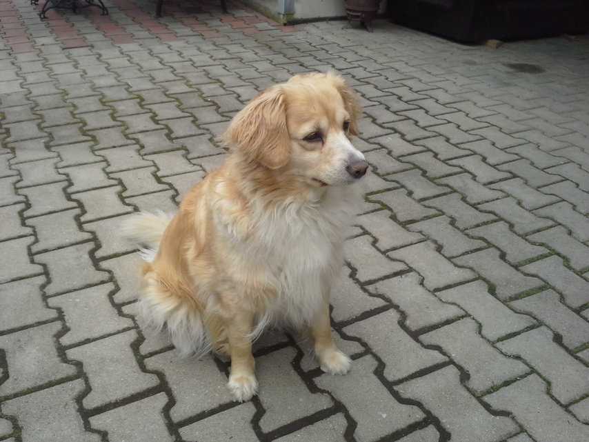 Samsung Galaxy Express