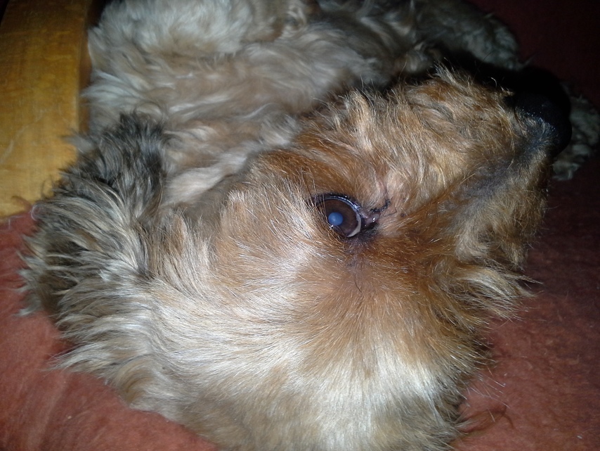 Samsung Galaxy Express