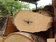 Samsung Galaxy Gio S5660