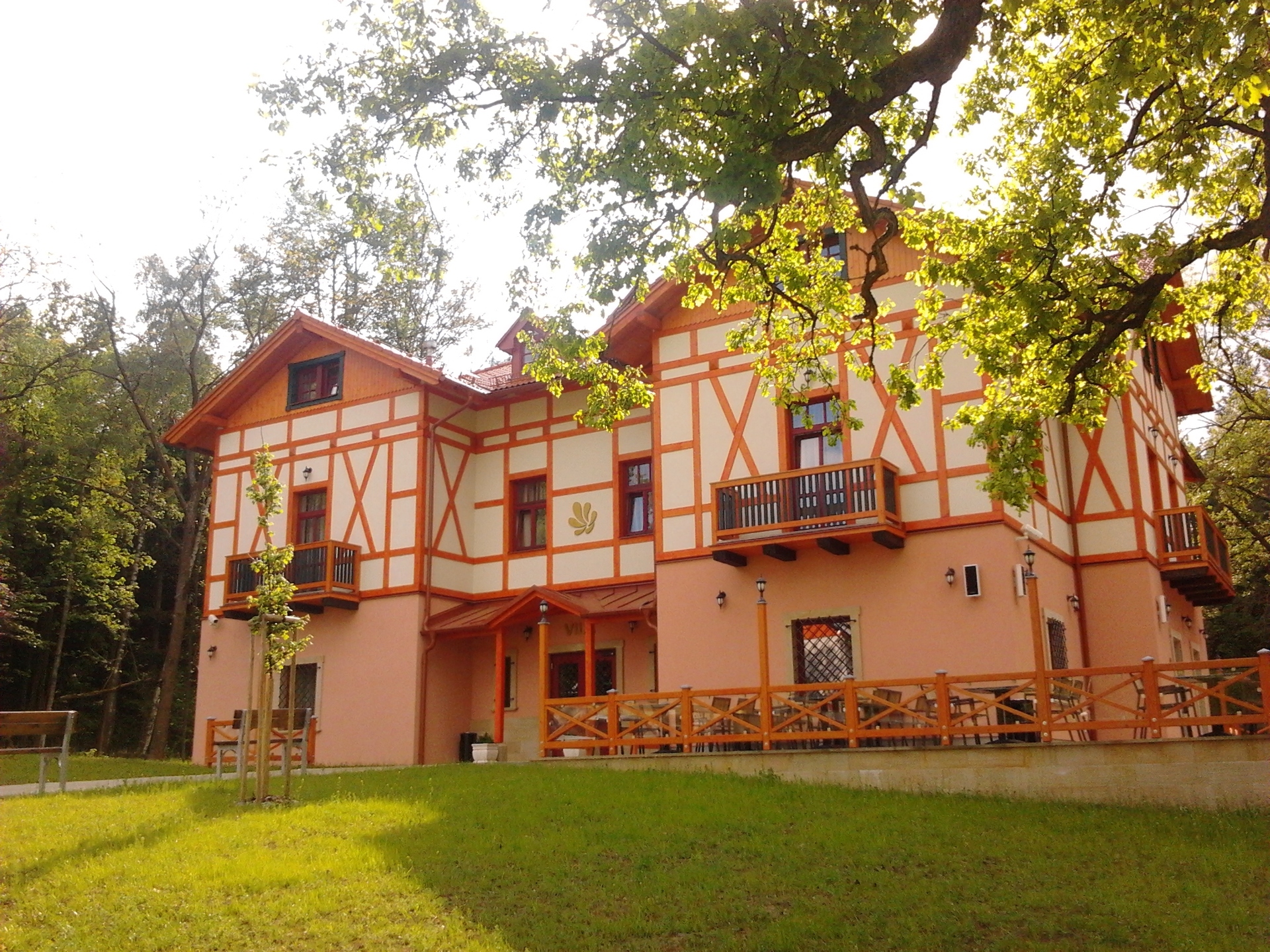 Samsung Galaxy Gio S5660