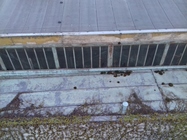 Samsung Galaxy J3 (2016)