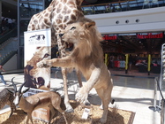 Samsung Galaxy J5 (2017)