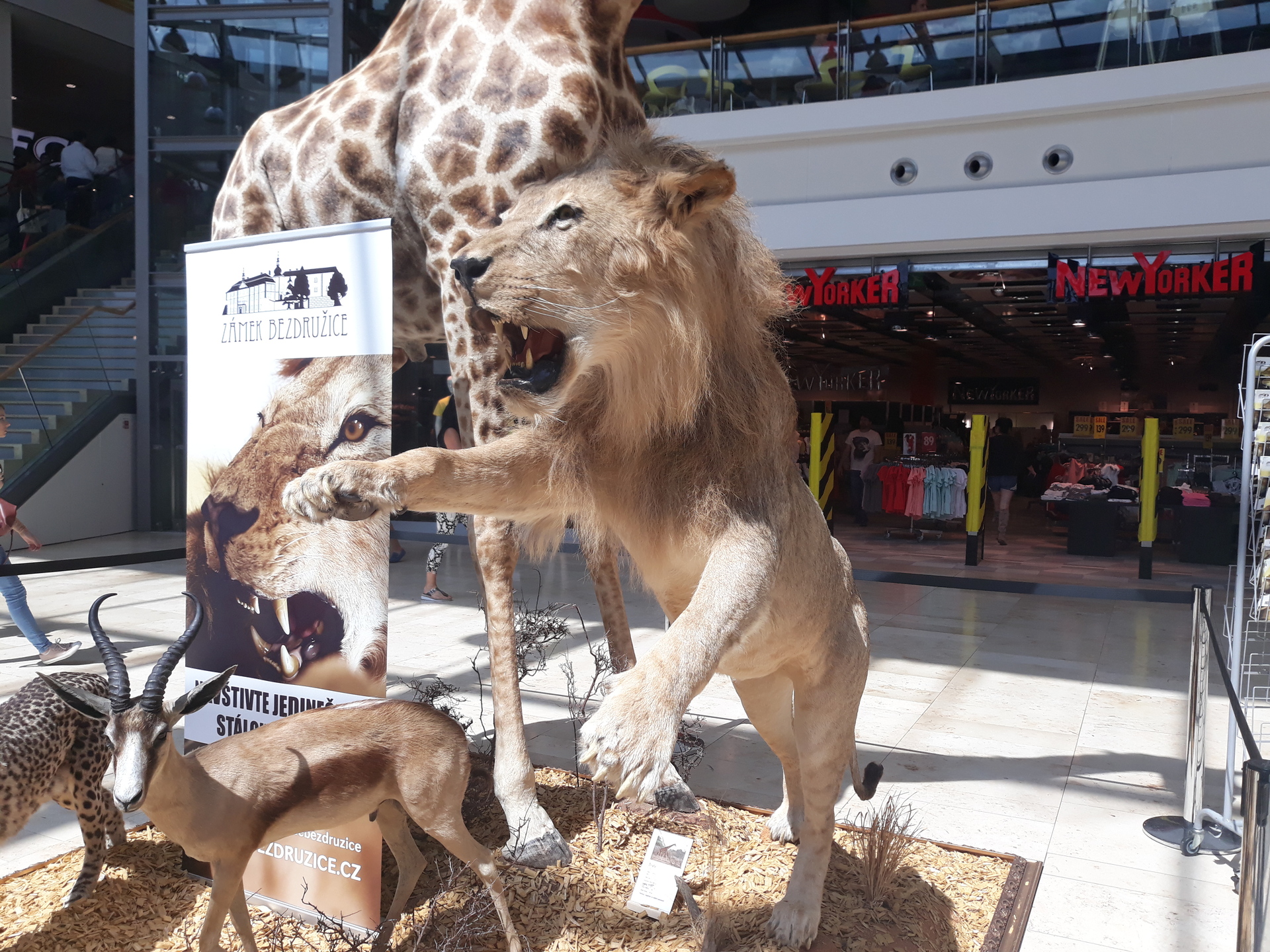 Samsung Galaxy J5 (2017)